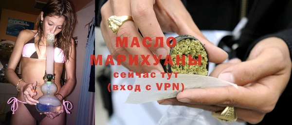 гидра Горнозаводск