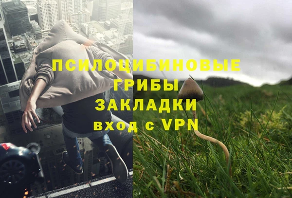 ПСИЛОЦИБИНОВЫЕ ГРИБЫ Вязьма