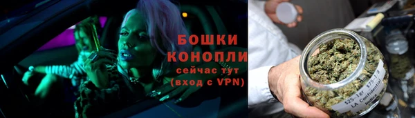 гидра Горнозаводск