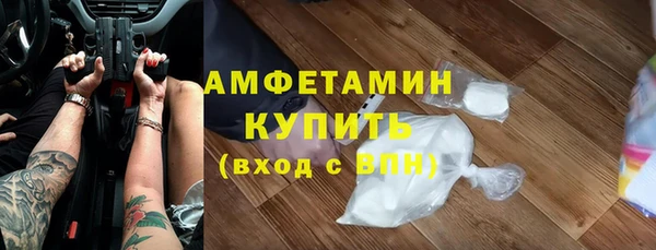 индика Мегион